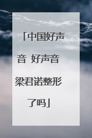 中国好声音 好声音梁君诺整形了吗