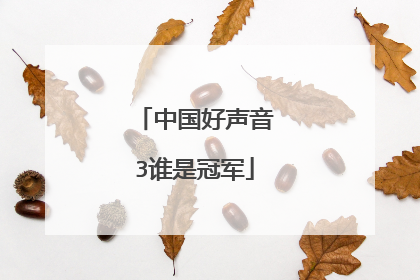 中国好声音3谁是冠军