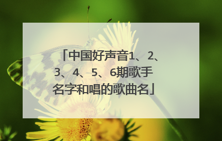 中国好声音1、2、3、4、5、6期歌手名字和唱的歌曲名