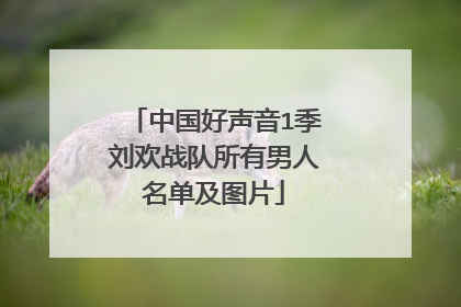 中国好声音1季刘欢战队所有男人名单及图片