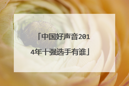 中国好声音2014年十强选手有谁