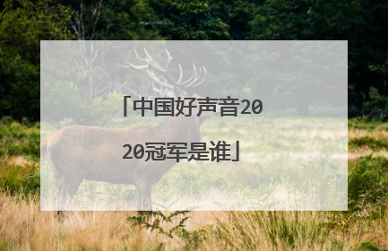 中国好声音2020冠军是谁