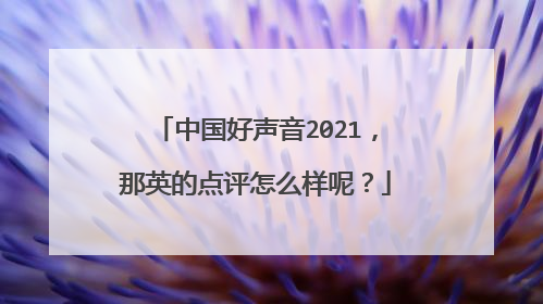 中国好声音2021,那英的点评怎么样呢?