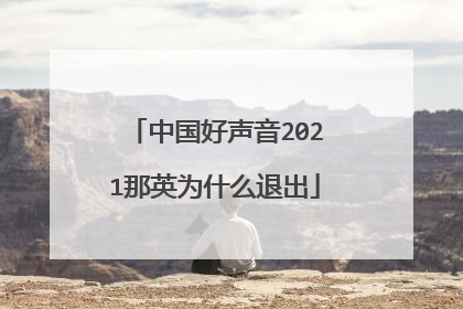 中国好声音2021那英为什么退出