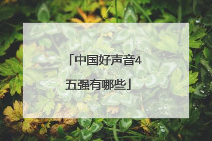 中国好声音4五强有哪些