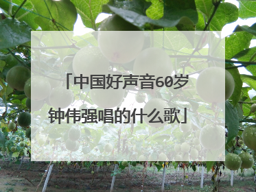 中国好声音60岁钟伟强唱的什么歌
