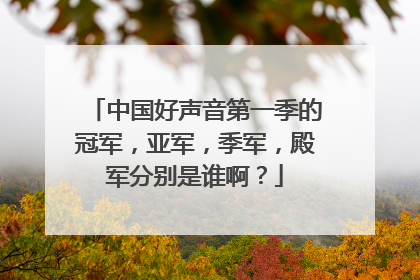 中国好声音第一季的冠军，亚军，季军，殿军分别是谁啊？