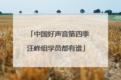 中国好声音第四季汪峰组学员都有谁