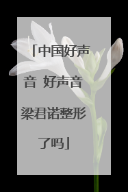 中国好声音 好声音梁君诺整形了吗