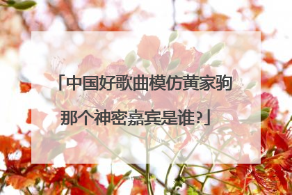 中国好歌曲模仿黄家驹那个神密嘉宾是谁?