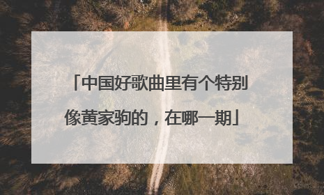 中国好歌曲里有个特别像黄家驹的，在哪一期