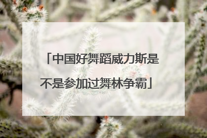 中国好舞蹈威力斯是不是参加过舞林争霸