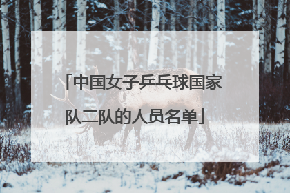 中国女子乒乓球国家队二队的人员名单