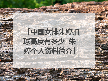 中国女排朱婷扣球高度有多少 朱婷个人资料简介