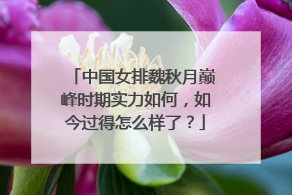 中国女排魏秋月巅峰时期实力如何，如今过得怎么样了？