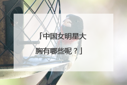 中国女明星大胸有哪些呢？