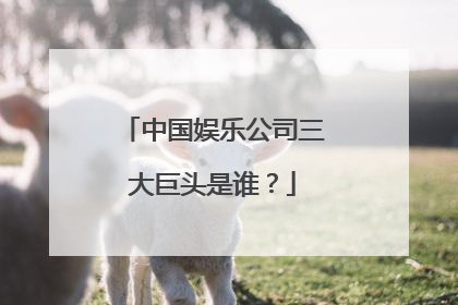 中国娱乐公司三大巨头是谁？