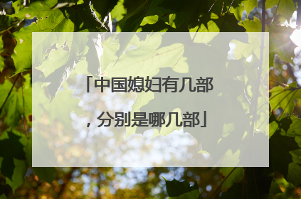 中国媳妇有几部，分别是哪几部