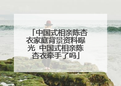 中国式相亲陈杏衣家庭背景资料曝光 中国式相亲陈杏衣牵手了吗