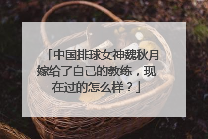 中国排球女神魏秋月嫁给了自己的教练，现在过的怎么样？