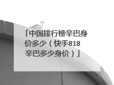 中国排行榜辛巴身价多少（快手818辛巴多少身价）