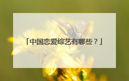 中国恋爱综艺有哪些？