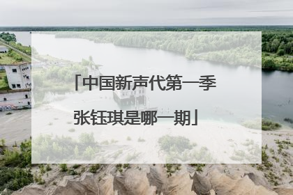 中国新声代第一季张钰琪是哪一期