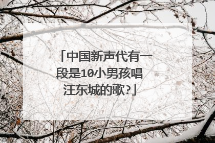 中国新声代有一段是10小男孩唱汪东城的歌?