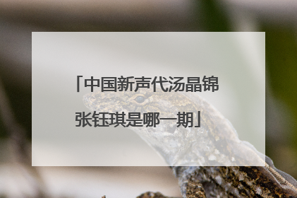 中国新声代汤晶锦张钰琪是哪一期