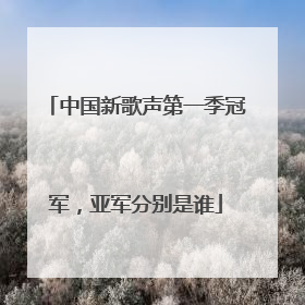 中国新歌声第一季冠军，亚军分别是谁