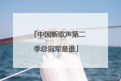 中国新歌声第二季总冠军是谁