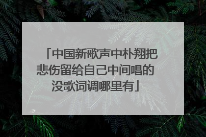 中国新歌声中朴翔把悲伤留给自己中间唱的没歌词调哪里有