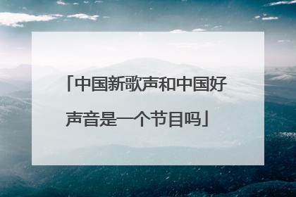 中国新歌声和中国好声音是一个节目吗