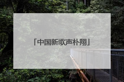 中国新歌声朴翔