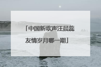 中国新歌声汪晨蕊友情岁月哪一期