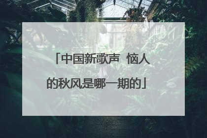 中国新歌声 恼人的秋风是哪一期的