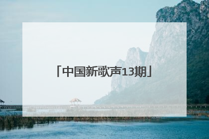 中国新歌声13期
