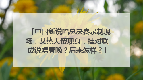 中国新说唱总决赛录制现场,艾热大傻现身,挂对联成说唱春晚?后来怎样?