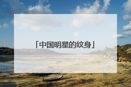 中国明星的纹身