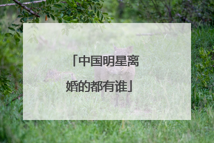 中国明星离婚的都有谁