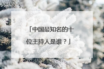 中国最知名的十位主持人是谁?