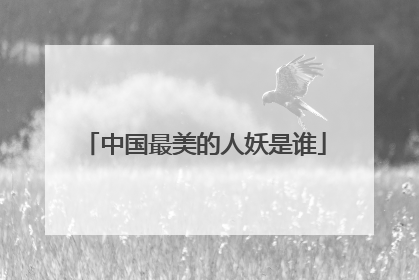 中国最美的人妖是谁