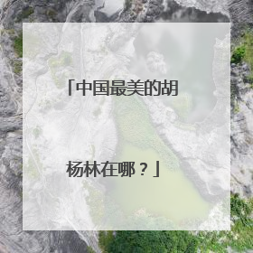 中国最美的胡杨林在哪？