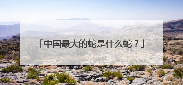 中国最大的蛇是什么蛇?