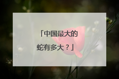 中国最大的蛇有多大?
