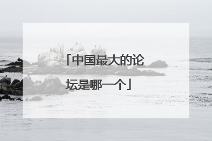 中国最大的论坛是哪一个