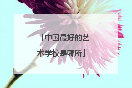 中国最好的艺术学校是哪所