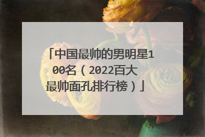 中国最帅的男明星100名（2022百大最帅面孔排行榜）