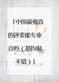 中国最强音的评委能专业点吗（郑钧很不错）