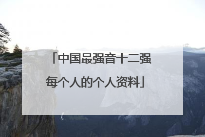 中国最强音十二强每个人的个人资料